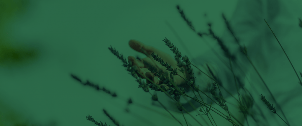 banner-transformando